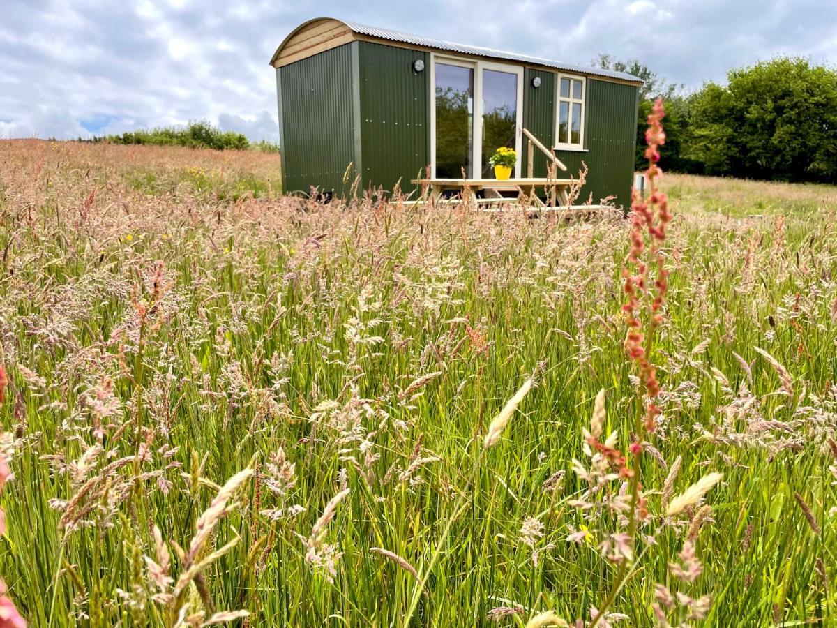 Stepping Stones Glamping 'The Olive' Villa Bantry Exterior photo