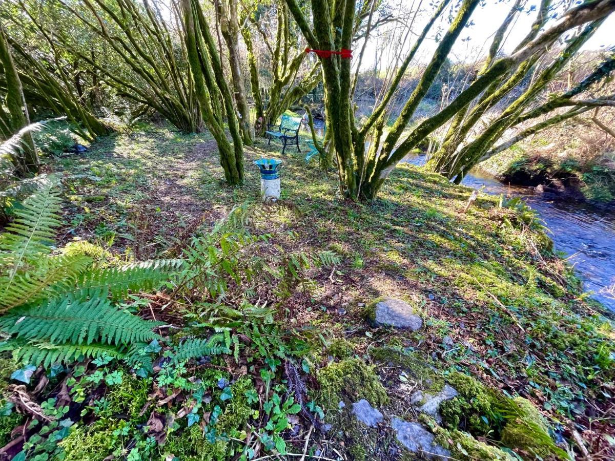 Stepping Stones Glamping 'The Olive' Villa Bantry Exterior photo